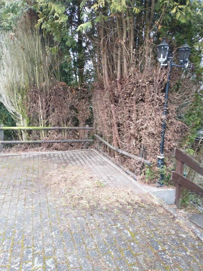 Landhaus Mit Saunakeller Bad Wunnenberg Bagian luar foto